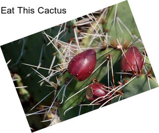 Eat This Cactus