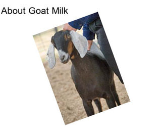 About Goat Milk