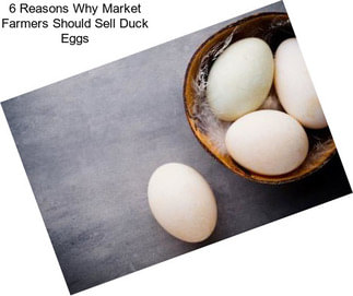 6 Reasons Why Market Farmers Should Sell Duck Eggs