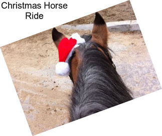 Christmas Horse Ride