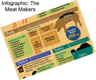 Infographic: The Meat Makers