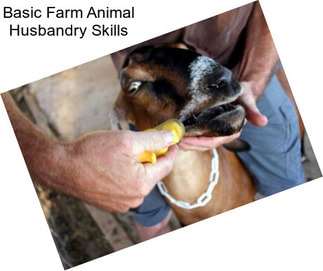 Basic Farm Animal Husbandry Skills