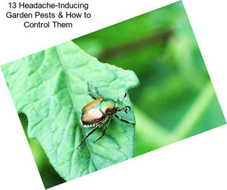 13 Headache-Inducing Garden Pests & How to Control Them