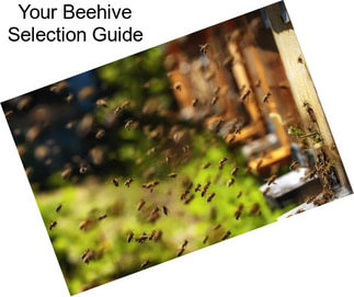 Your Beehive Selection Guide