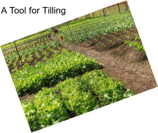 A Tool for Tilling