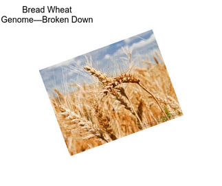 Bread Wheat Genome—Broken Down