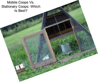 Mobile Coops Vs. Stationary Coops: Which Is Best?
