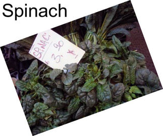 Spinach