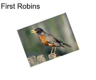 First Robins