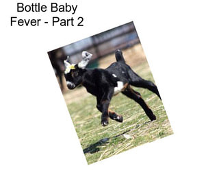 Bottle Baby Fever - Part 2