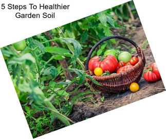 5 Steps To Healthier Garden Soil