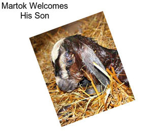 Martok Welcomes His Son