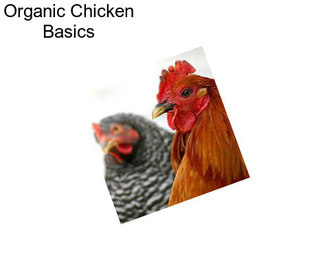 Organic Chicken Basics