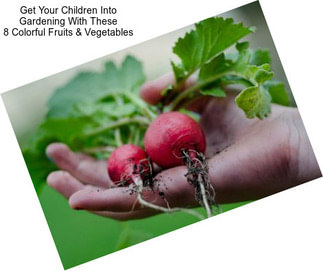 Get Your Children Into Gardening With These 8 Colorful Fruits & Vegetables