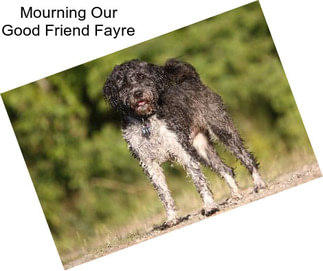 Mourning Our Good Friend Fayre