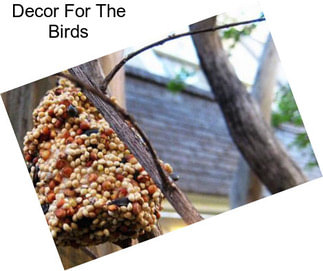 Decor For The Birds