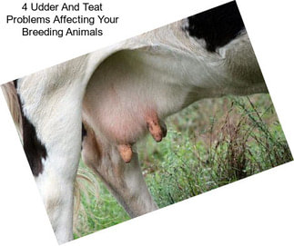 4 Udder And Teat Problems Affecting Your Breeding Animals