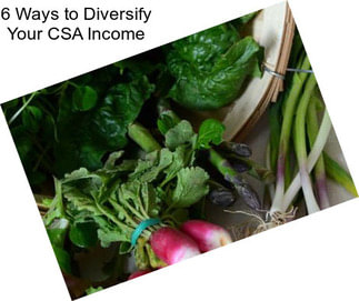 6 Ways to Diversify Your CSA Income
