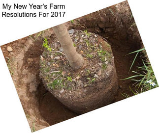 My New Year\'s Farm Resolutions For 2017