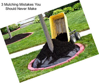 3 Mulching Mistakes You Should Never Make