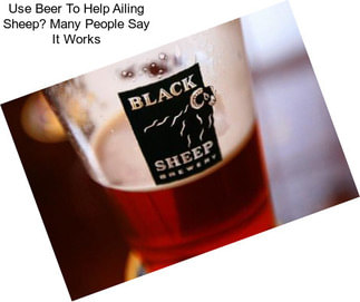 Use Beer To Help Ailing Sheep? Many People Say It Works