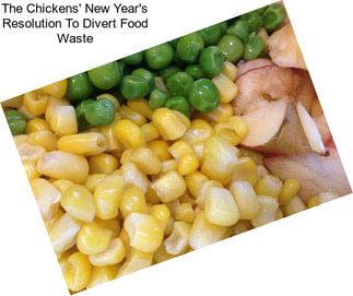 The Chickens\' New Year\'s Resolution To Divert Food Waste