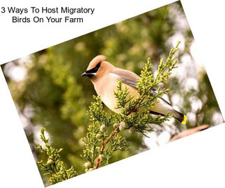 3 Ways To Host Migratory Birds On Your Farm