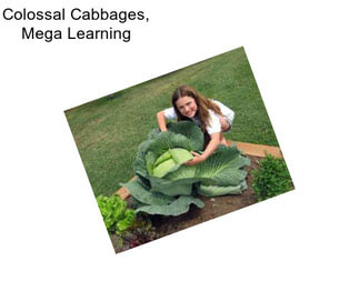 Colossal Cabbages, Mega Learning