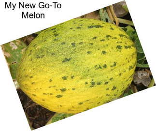 My New Go-To Melon