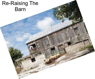 Re-Raising The Barn