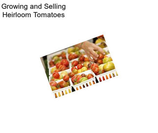 Growing and Selling Heirloom Tomatoes