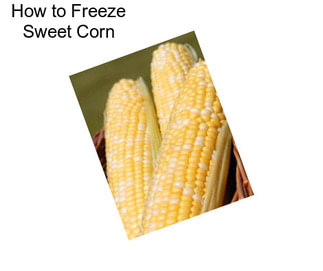 How to Freeze Sweet Corn