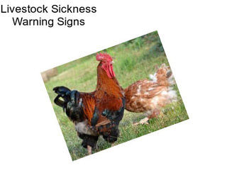 Livestock Sickness Warning Signs