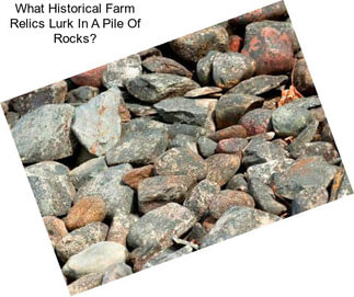 What Historical Farm Relics Lurk In A Pile Of Rocks?