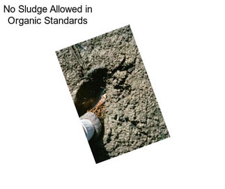 No Sludge Allowed in Organic Standards