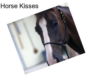 Horse Kisses