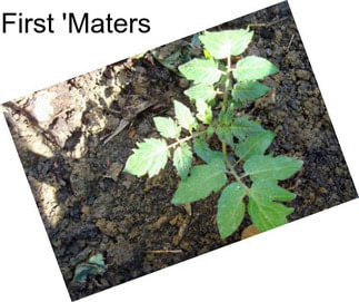 First \'Maters