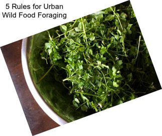 5 Rules for Urban Wild Food Foraging
