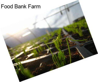 Food Bank Farm