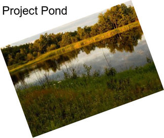 Project Pond