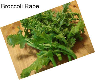 Broccoli Rabe