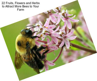 22 Fruits, Flowers and Herbs to Attract More Bees to Your Farm