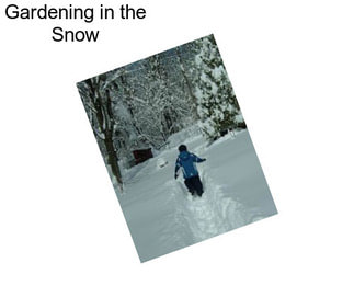 Gardening in the Snow
