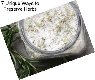 7 Unique Ways to Preserve Herbs