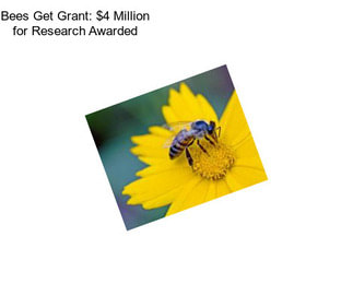 Bees Get Grant: $4 Million for Research Awarded