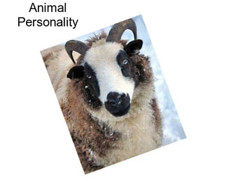 Animal Personality