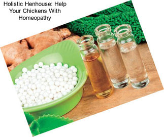 Holistic Henhouse: Help Your Chickens With Homeopathy