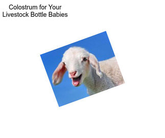 Colostrum for Your Livestock Bottle Babies