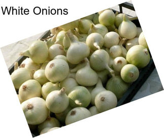 White Onions