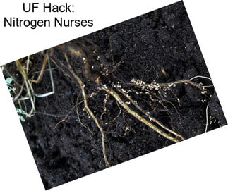 UF Hack: Nitrogen Nurses
